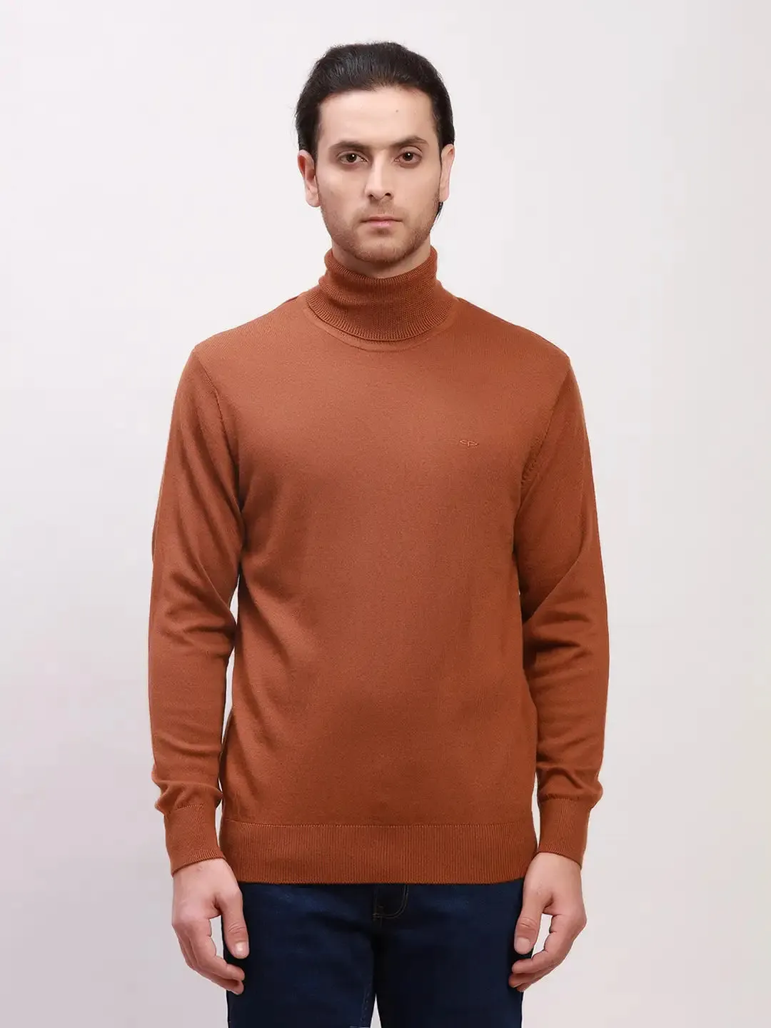 Colorplus Men Brown Solid Tailored Fit Wool Blend Full Sleeve V Neck Sweaters