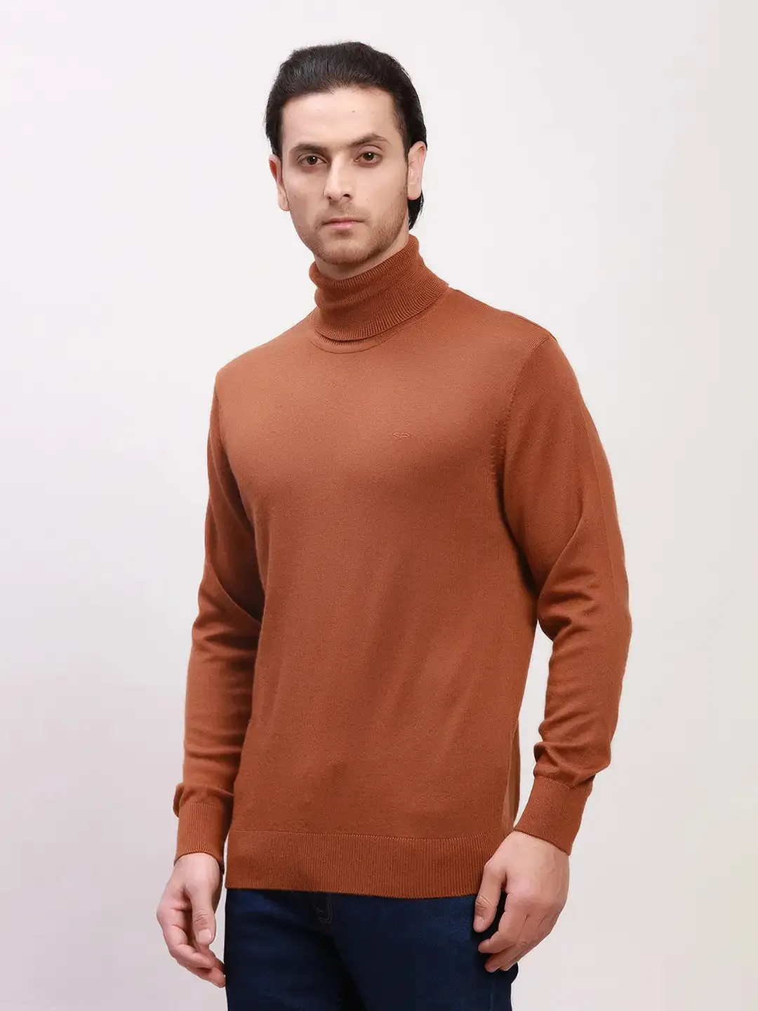 Colorplus Men Brown Solid Tailored Fit Wool Blend Full Sleeve V Neck Sweaters