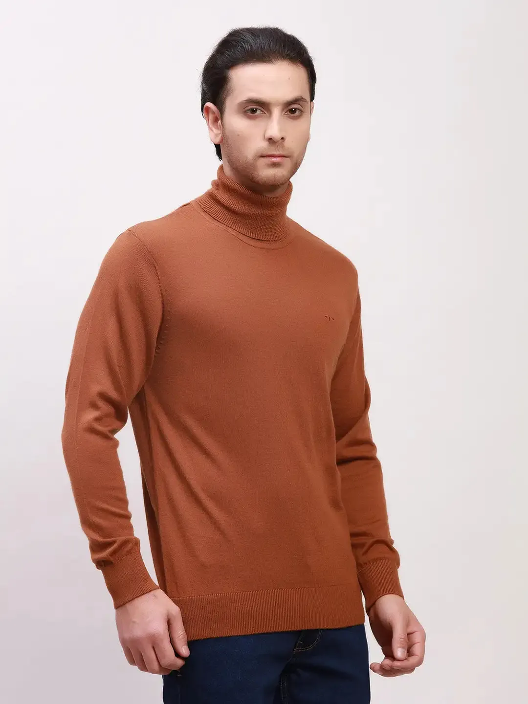 Colorplus Men Brown Solid Tailored Fit Wool Blend Full Sleeve V Neck Sweaters