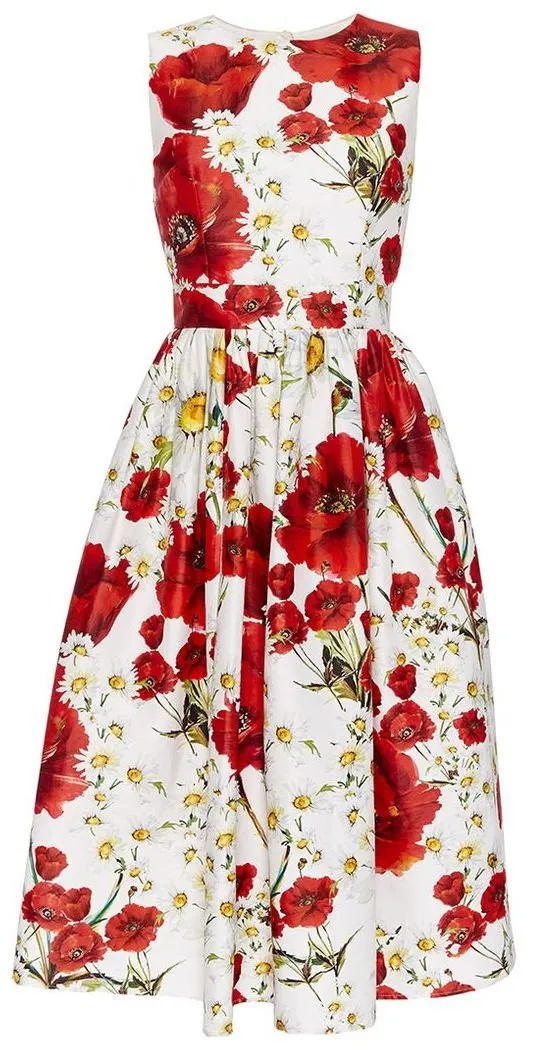 Floral Print Pleated Dress