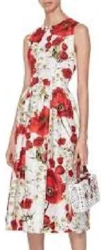 Floral Print Pleated Dress