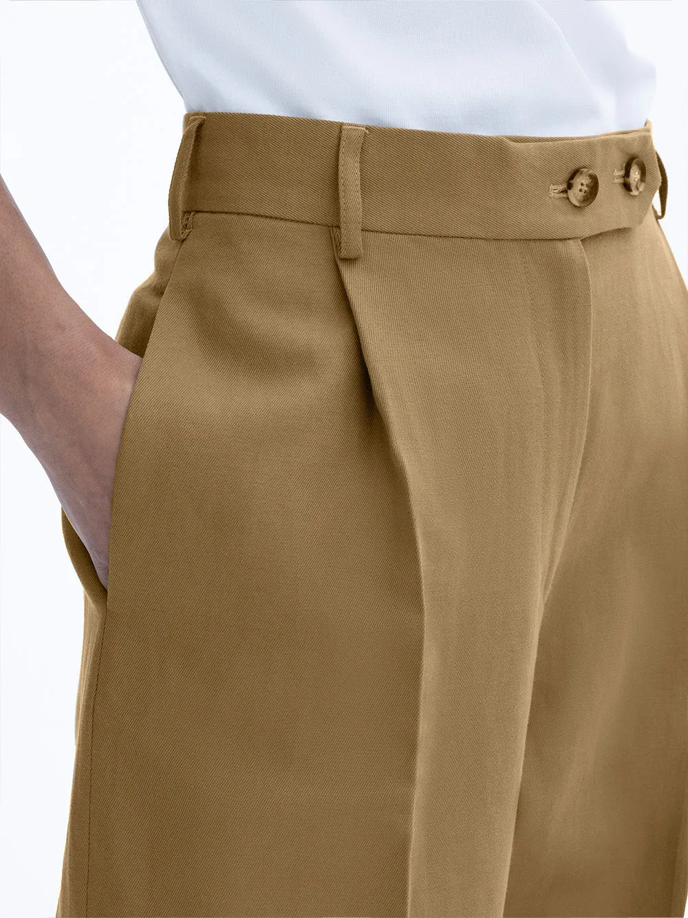 Pleated Trousers