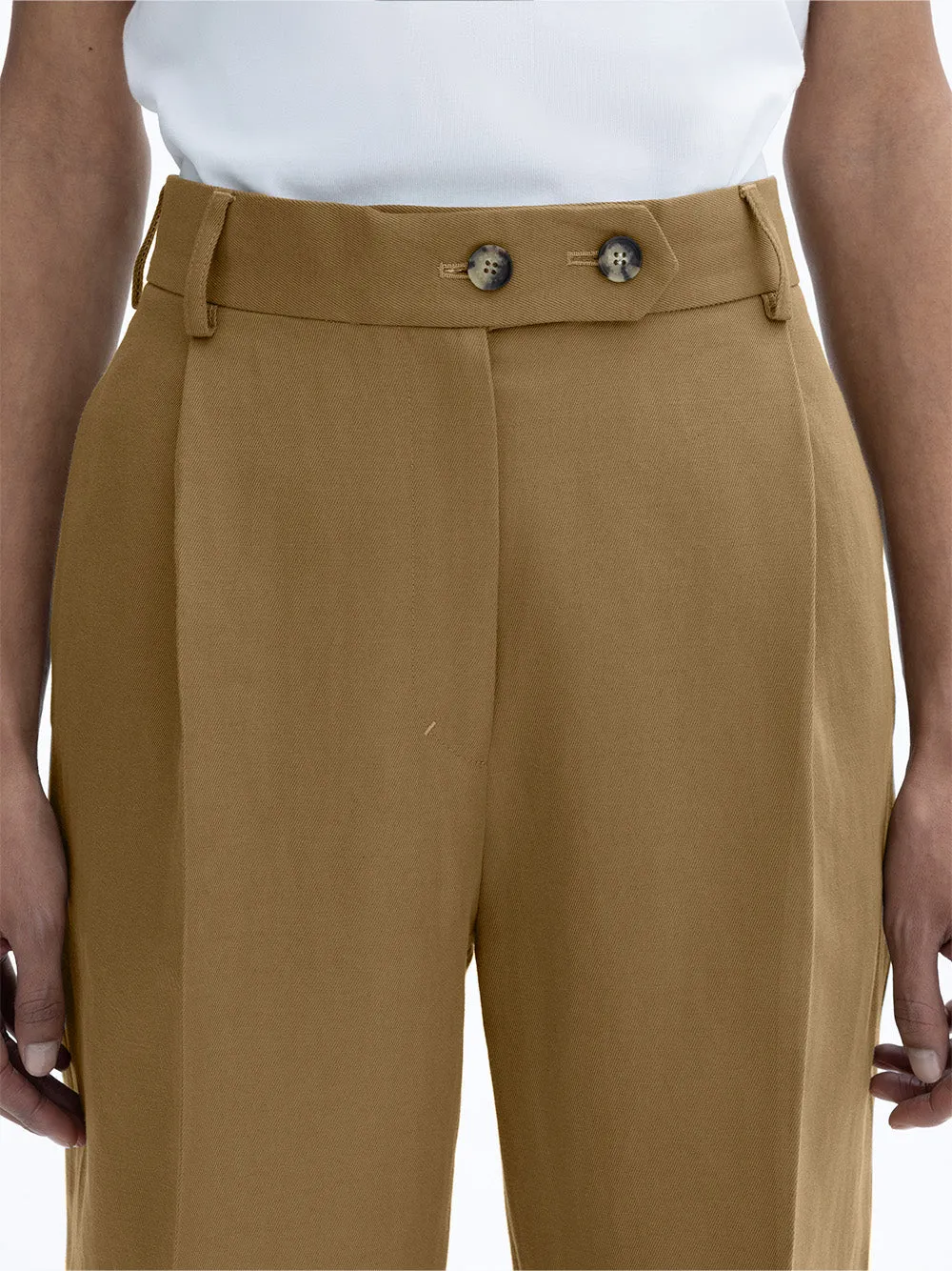 Pleated Trousers